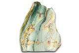 Freestanding Gary Green Jasper (Larsonite) Bog Wood - Oregon #377822-2
